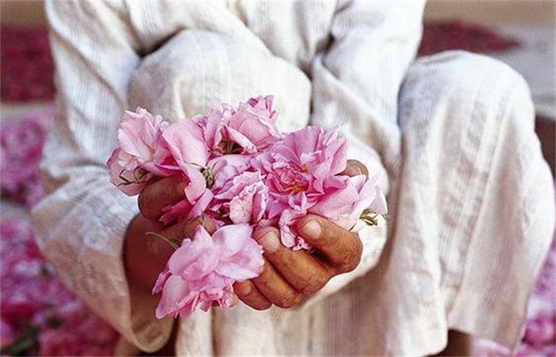 Moroccan Rose Festival